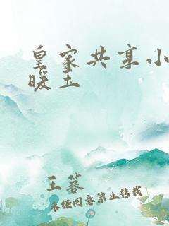 皇家共享小公主暖玉