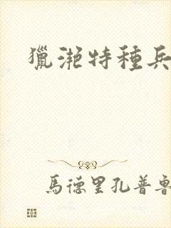 猎滟特种兵小姐