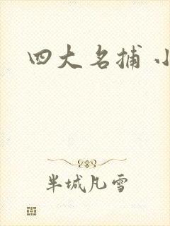 四大名捕 小说