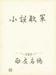 小说败军
