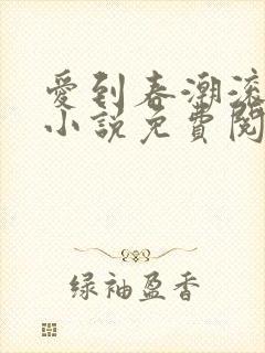 爱到春潮滚滚来小说免费阅读