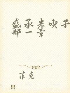 盛承光吃子时奶哪一章