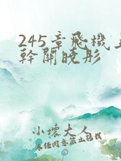 245章飞机上干关晓彤