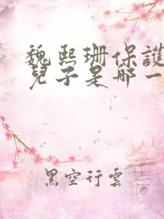 魏熙珊保护萧峥儿子是哪一集