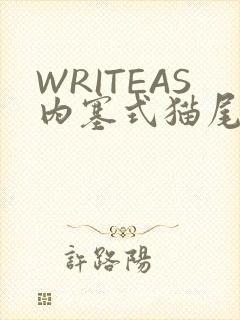 WRITEAS内塞式猫尾