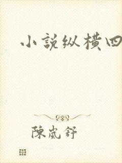 小说纵横四海