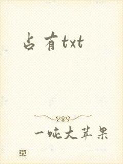占有txt