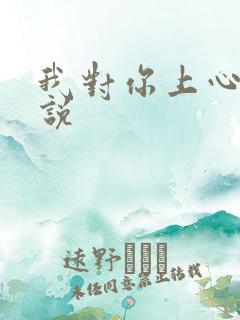 我对你上心了小说