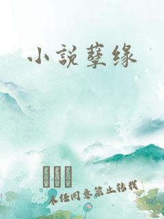 小说孽缘
