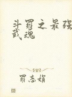 斗罗之最强治疗武魂