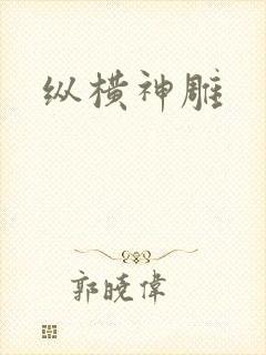 纵横神雕