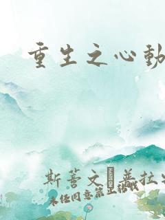 重生之心动起点
