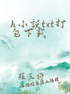 h小说txt打包下载