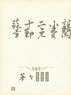 苏十二小说最新章节免费阅读全文