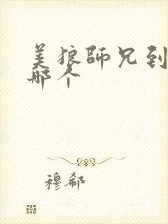 美狼师兄到底选哪个