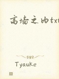 高墙之内txt