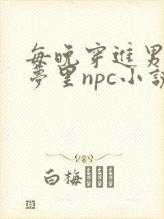 每晚穿进男神的梦里npc小说