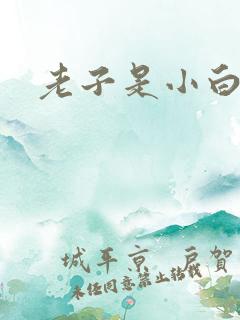 老子是小白脸