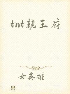 tnt亲王府