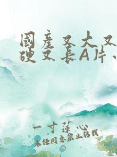 国产又大又粗又硬又长A片小说