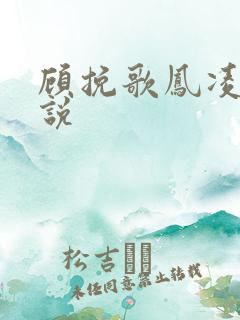 顾挽歌凤凌霄小说