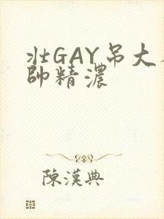 壮GAY吊大人帅精浓