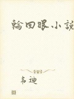轮回眼小说