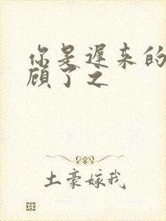 你是迟来的欢喜顾了之