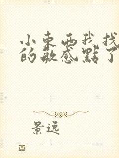 小东西我找到你的敏感点了