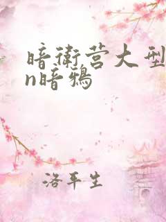 暗卫营大型hpn暗鸦