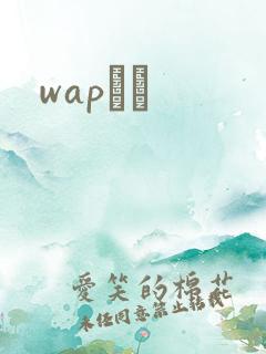 wapС˵