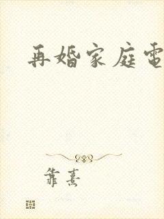 再婚家庭电视剧