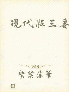 现代版三妻四妾