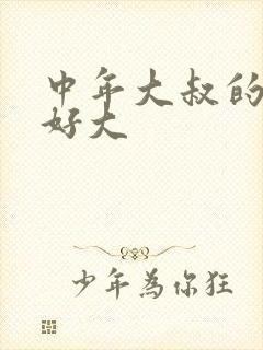 中年大叔的包包好大