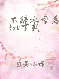 不辞冰雪为卿热txt下载