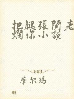 把腿张开老子臊烂你小说