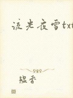 流光夜雪txt