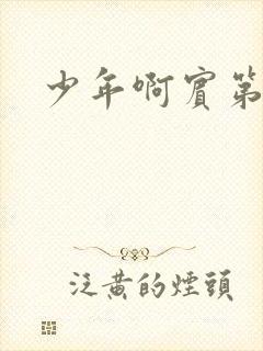 少年啊宾第二部