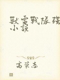 兽电战队强龙者小说