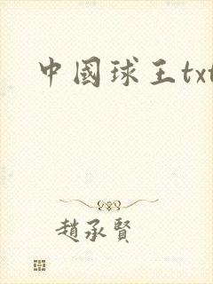 中国球王txt