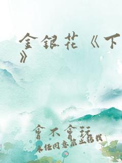 金银花《下厨房》