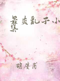 最爽乱子小说合集