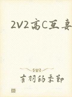 2V2高C互妻
