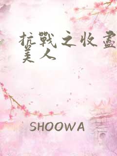 抗战之收尽天下美人