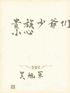 贵族少爷们 请小心