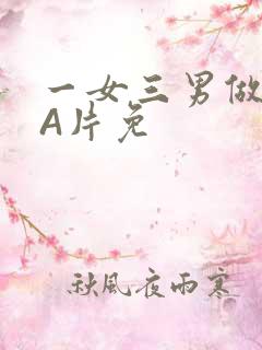 一女三男做2爱A片免