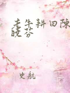 老牛耕田陈雪杨晓芬