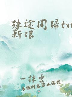 殊途同归txt新浪