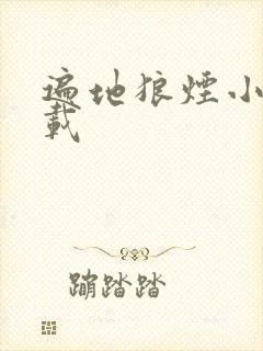 遍地狼烟小说下载