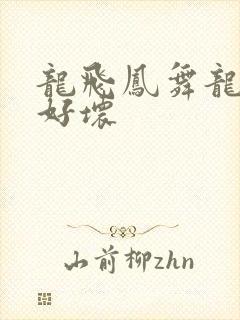 龙飞凤舞龙王你好坏